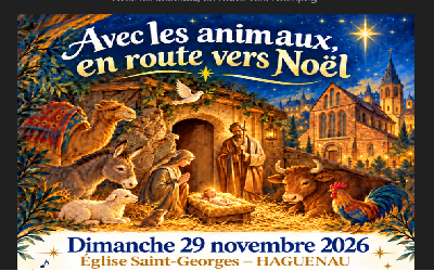 Avec les animaux en route pour Noël
